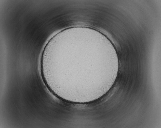 X0000086801387200705111826