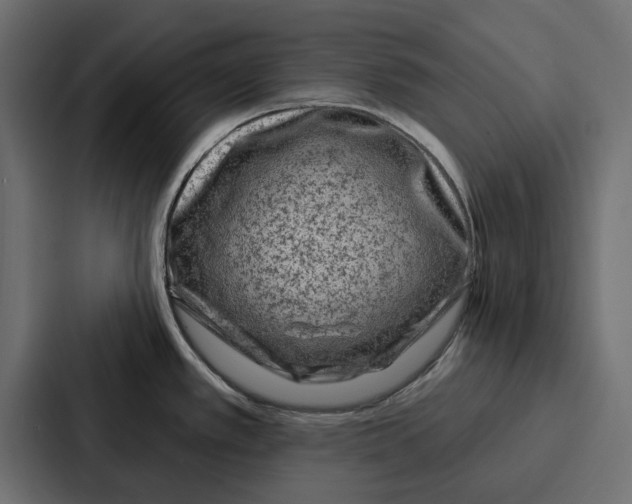 X0000086801389200705111826