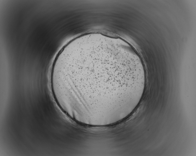 X0000086801392200705111826