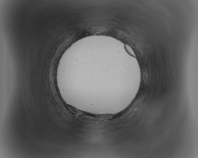 X0000086801393200705111826