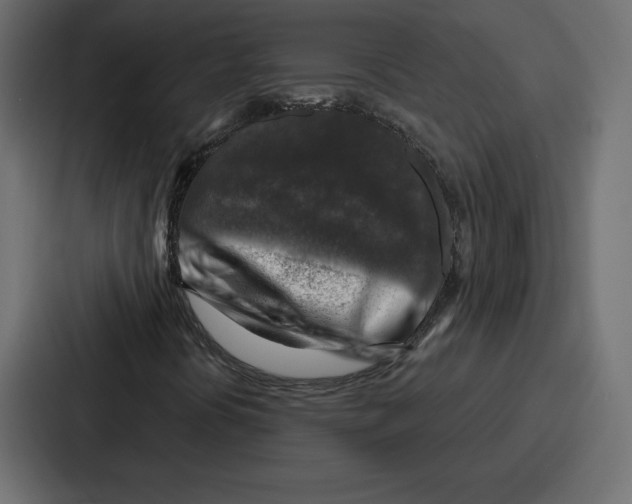 X0000086801394200705111826