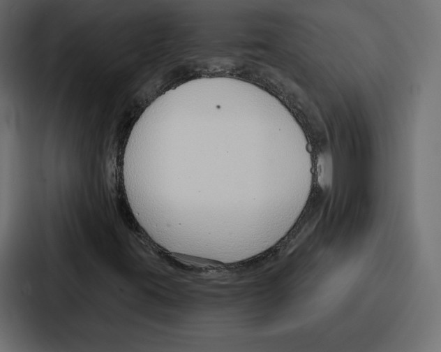 X0000086801395200705111826