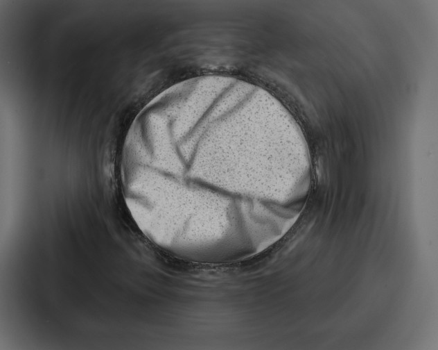 X0000086801396200705111826