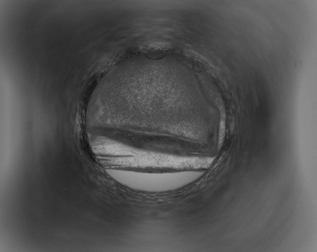 X0000086801397200705111826