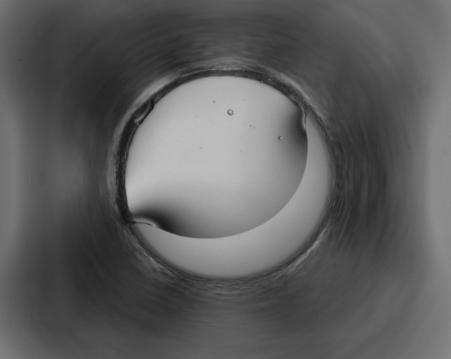 X0000086801410200705111826