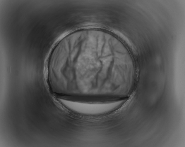 X0000086801413200705111826