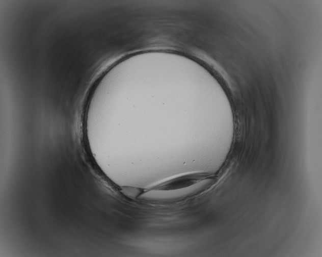 X0000086801415200705111826