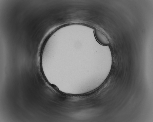 X0000086801416200705111826