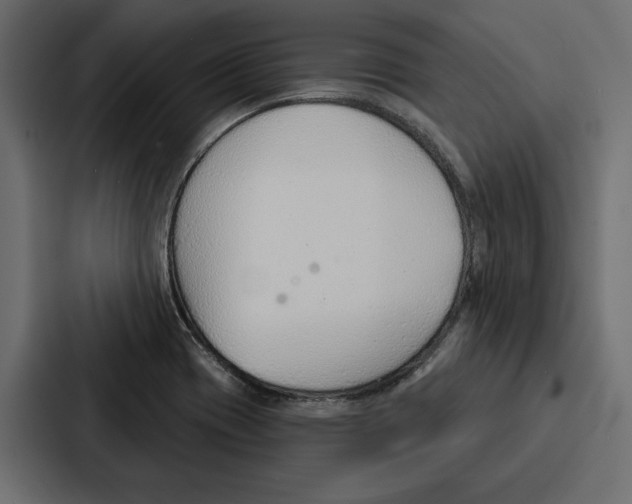 X0000086801417200705111826