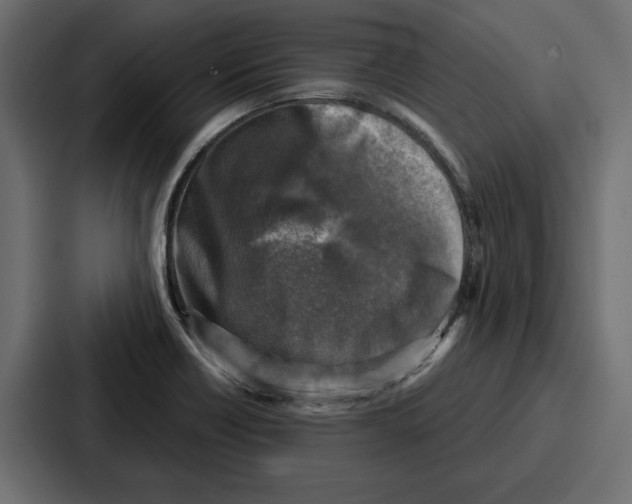 X0000086801418200705111826