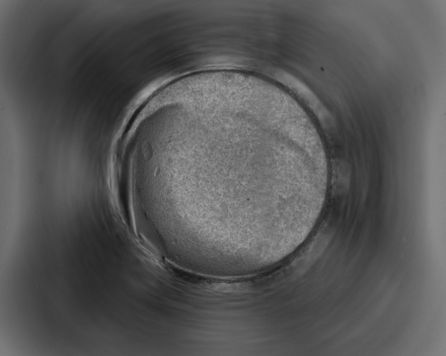 X0000086801419200705111826