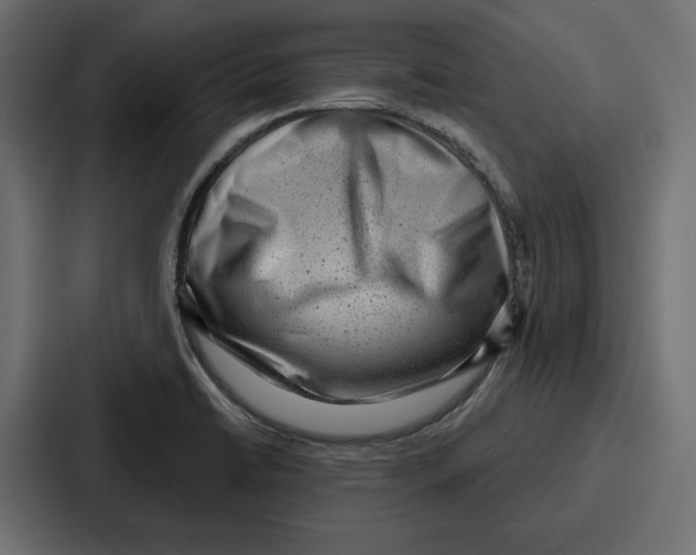 X0000086801422200705111826