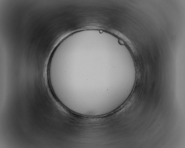 X0000086801423200705111826