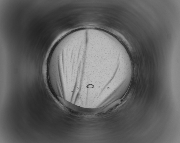 X0000086801424200705111826