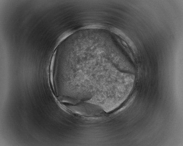 X0000086801425200705111826