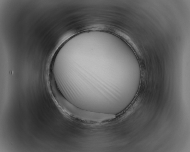 X0000086801426200705111826