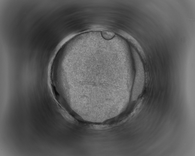 X0000086801427200705111826