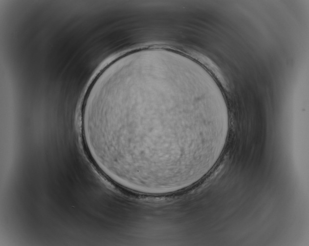 X0000086801428200705111826