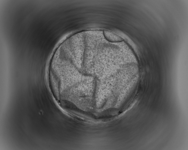 X0000086801429200705111826