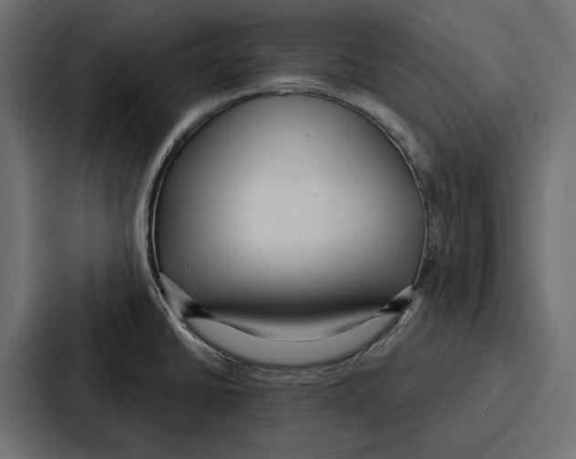 X0000086801430200705111826