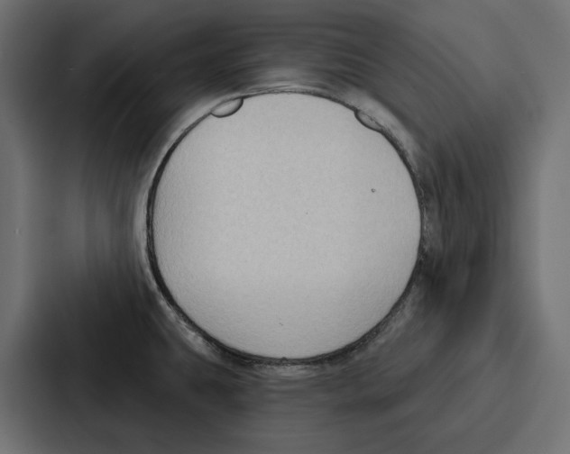 X0000086801431200705111826