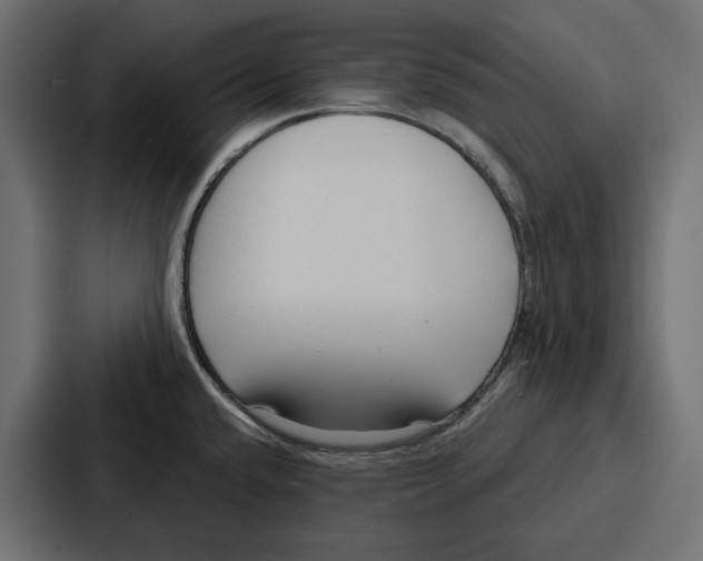 X0000086801432200705111826