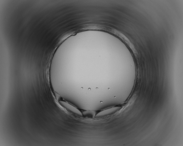 X0000086801433200705111826