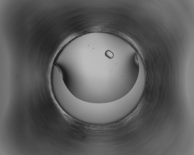 X0000086801434200705111826