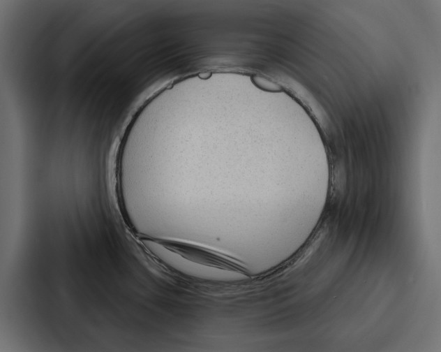 X0000086801435200705111826