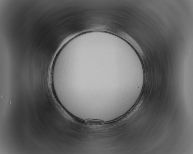 X0000086801436200705111826