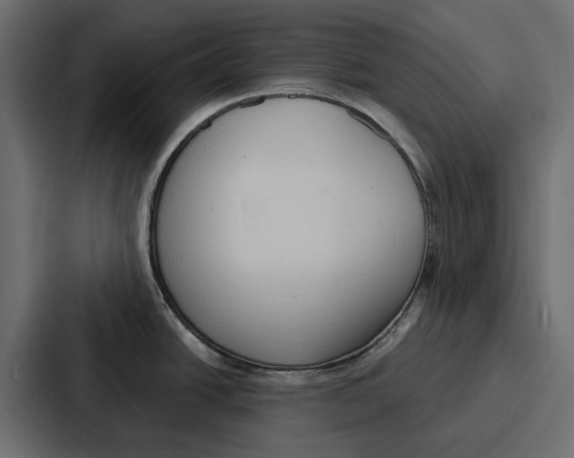 X0000086801438200705111826