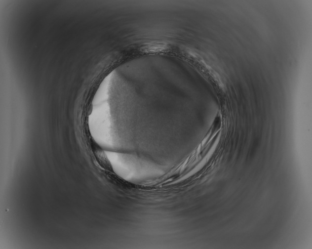 X0000086801441200705111826