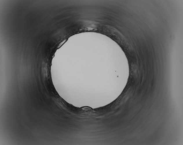 X0000086801442200705111826