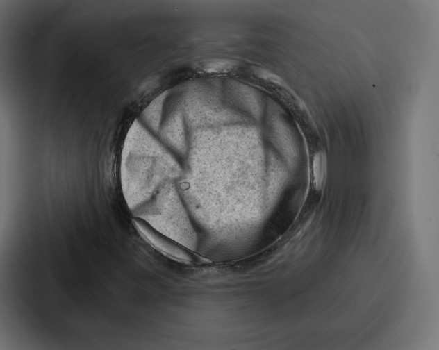 X0000086801443200705111826