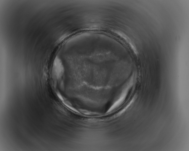 X0000086801449200705111826