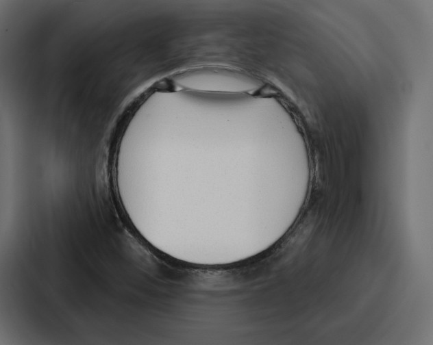 X0000086801452200705111826