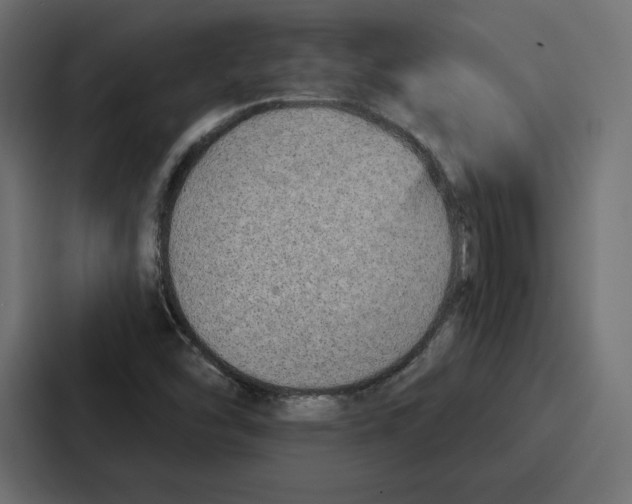 X0000086801454200705111826