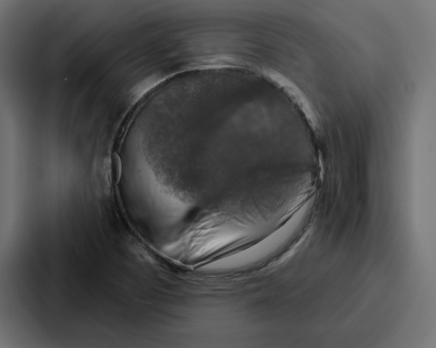 X0000086801457200705111825