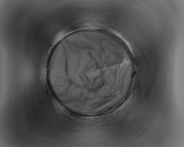 X0000086801459200705111825