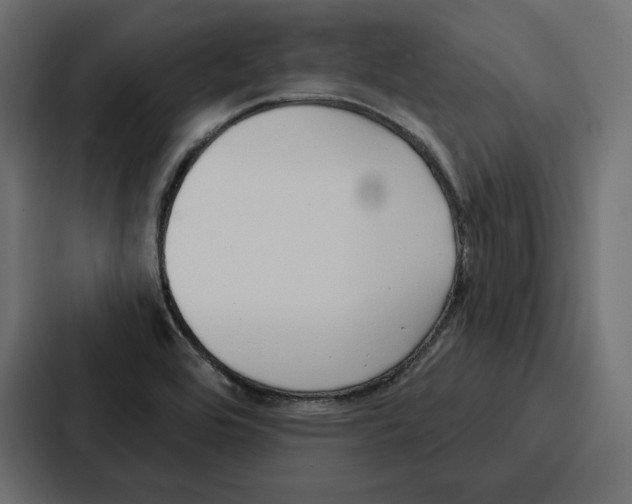 X0000086801464200705111825