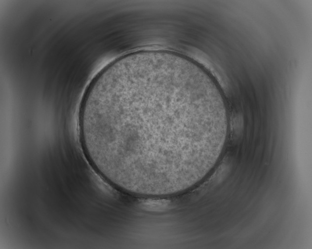 X0000086801466200705111825