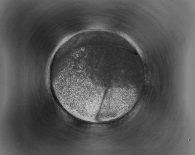 X0000086801469200705111825