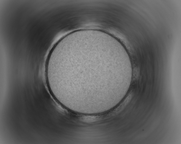 X0000086801470200705111825