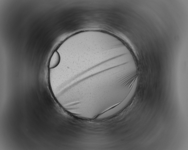 X0000086801472200705111825