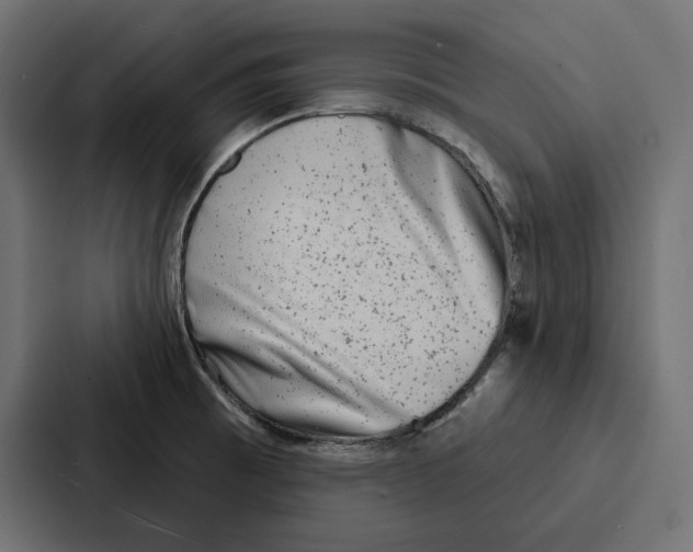 X0000086801473200705111825