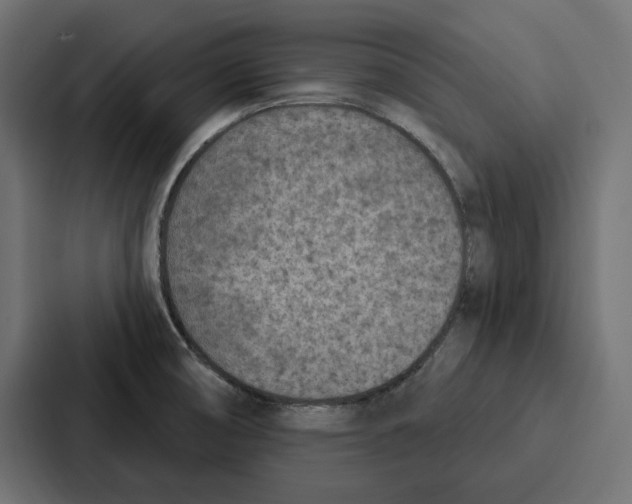 X0000086801474200705111825