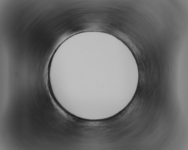 X0000086801479200705111825