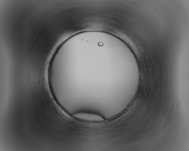 X0000086801480200705111825