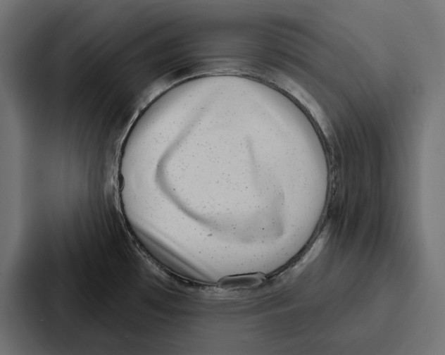 X0000086801481200705111825