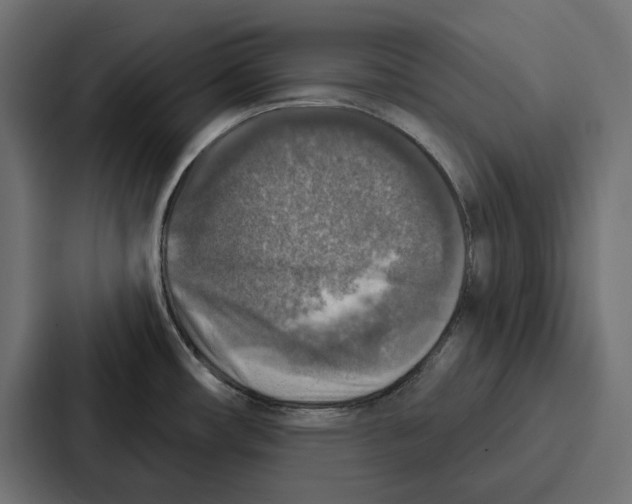 X0000086801482200705111825